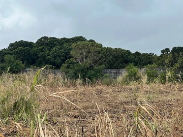 Agricultural Land