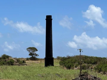 Agricultural Land