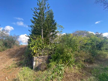 Terrain Résidentiel