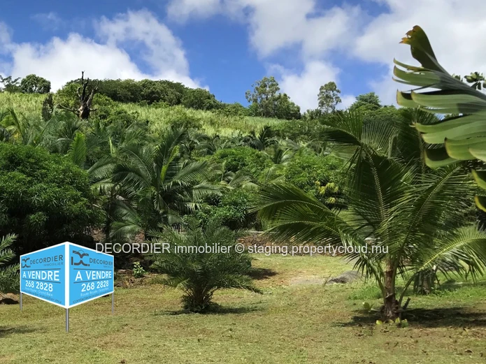 Terrain agricole avec vue mer et montagne (Mandat exclusif)