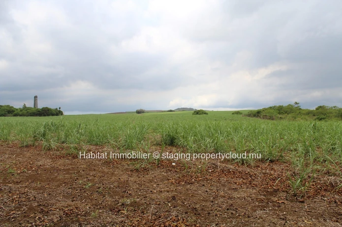  A VENDRE - Terrain agricole de 4 arpents sur la route principale à Petite Julie.