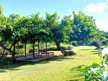 Villa de 4 Chambres