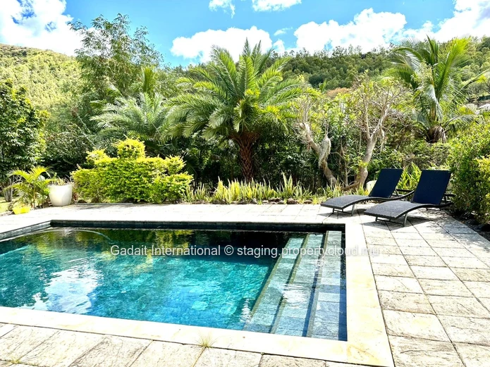 Matala Villa: villa with mountain view, tropical garden and private pool - Black River