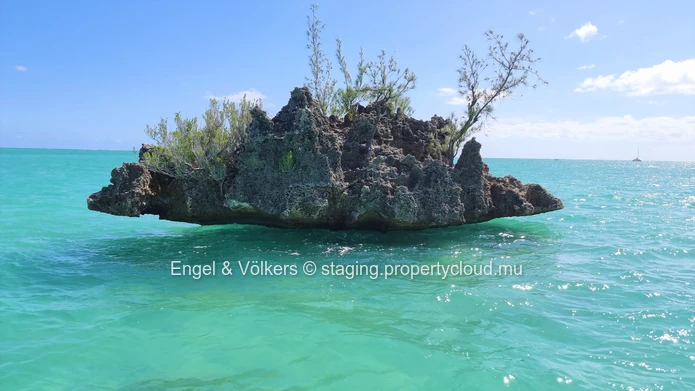 Elegant Island Sanctuary: Luxurious 4-Bedroom Villa in best located estate