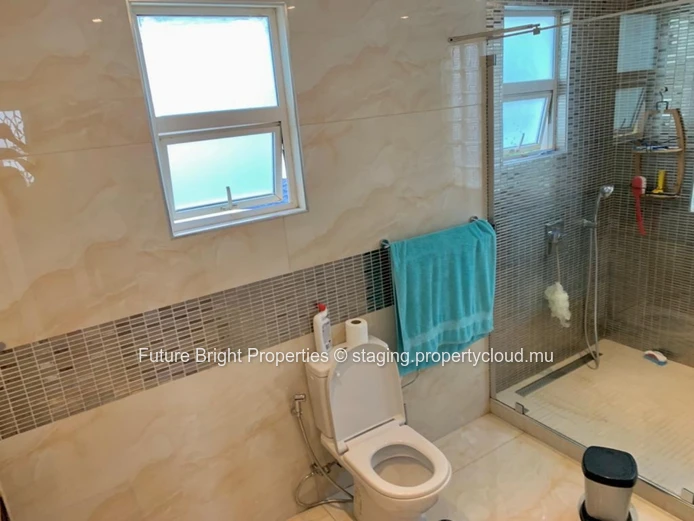 Property for Sale House Flic en Flac