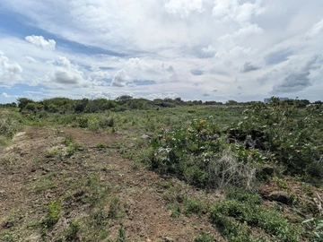 Residential Land