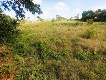 Residential Land