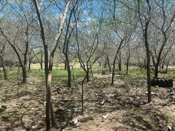 Residential Land