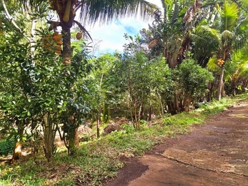 Land