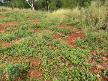 Residential Land