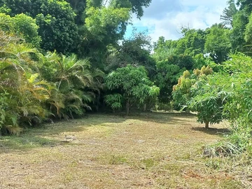 Residential Land