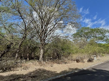 Residential Land