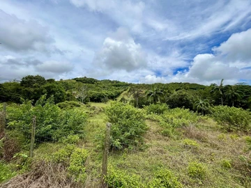 Agricultural Land