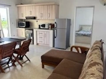 3 Bedroom Penthouse