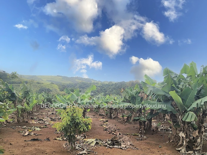 Agricultural land near Savanne river. (Sole Mandate)