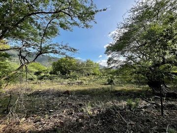 Residential Land