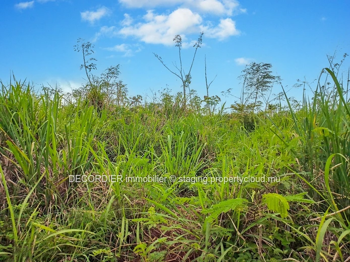 À Vendre Baie Du Tombeau Terrain Agricole