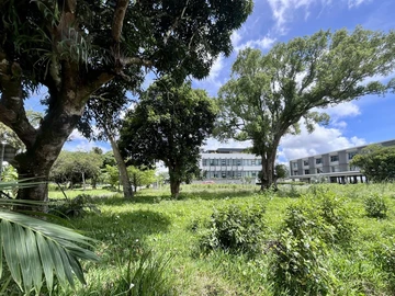 Commercial Land