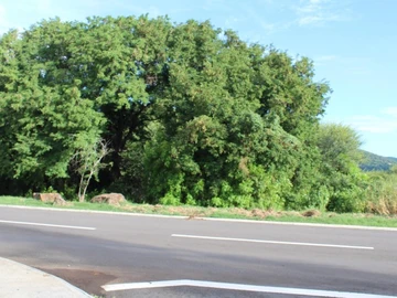 Residential Land