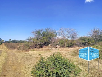 Terrain