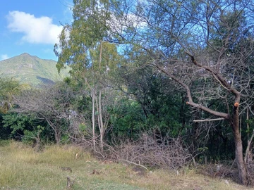 Residential Land