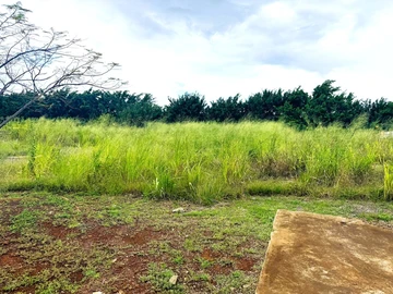 Residential Land