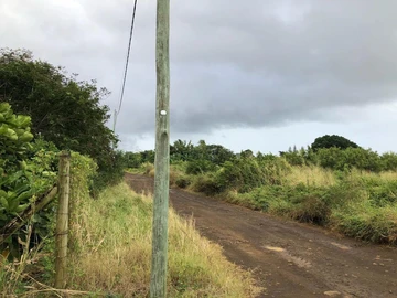 Agricultural Land