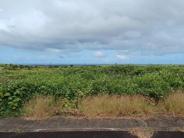 Residential Land