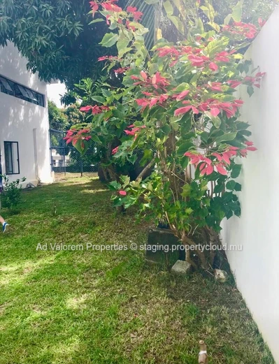 Large house for sale - Balfour, Beau Bassin.