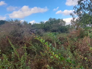 Terrain Résidentiel