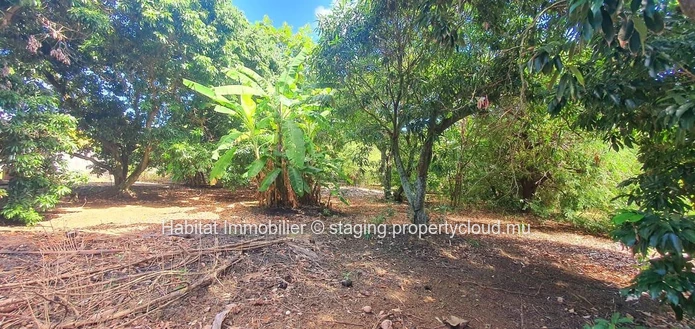 Spacious residential plot of 1 arpent 10 with an existing house of 250 m², ideally located in Sottise, just minutes f...