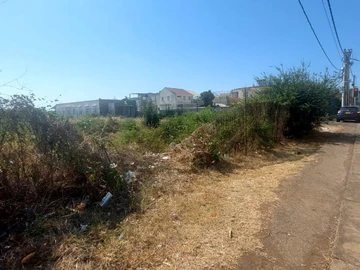 Land