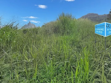Terrain