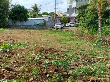 Terrain
