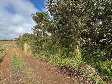 Agricultural Land