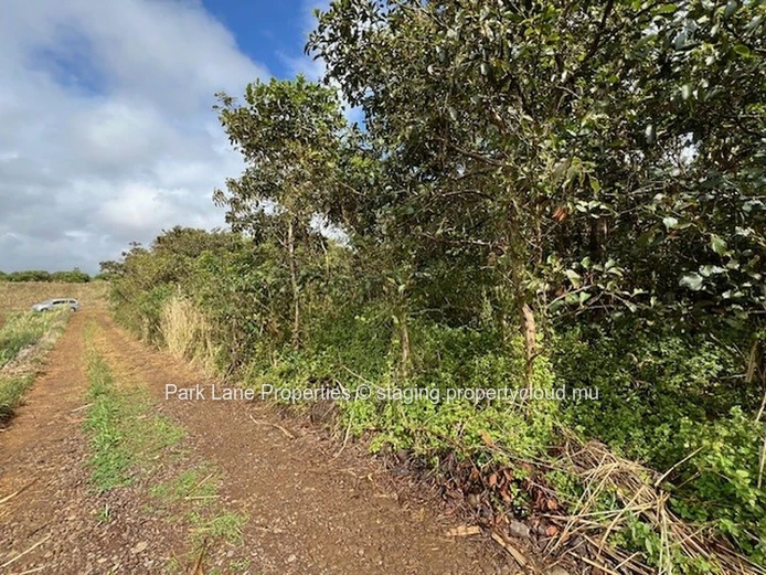 Potentiel de Transformation : Terres Agricoles de Trianon Près de l'Autoroute vers Verdun