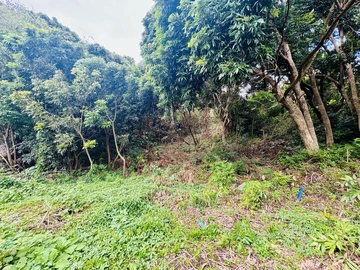 Agricultural Land