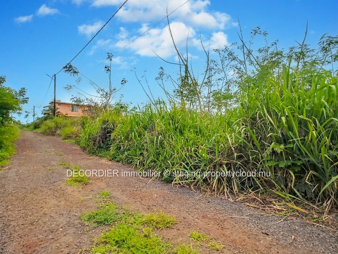 À Vendre Baie Du Tombeau Terrain Agricole