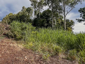 Residential Land