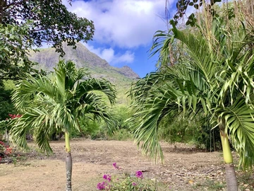 Residential Land