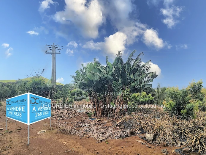 Agricultural land near Savanne river. (Sole Mandate)