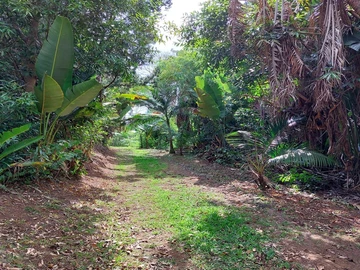Agricultural Land