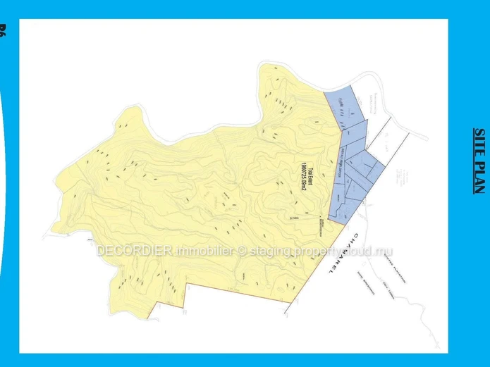 Terrain agricole de 464.62 arpents en vente de Quartier de la savanne à Chamarel