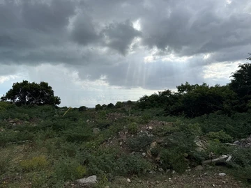 Residential Land