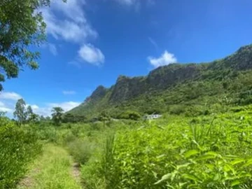 Agricultural Land