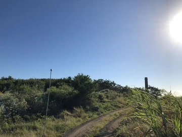 Agricultural Land