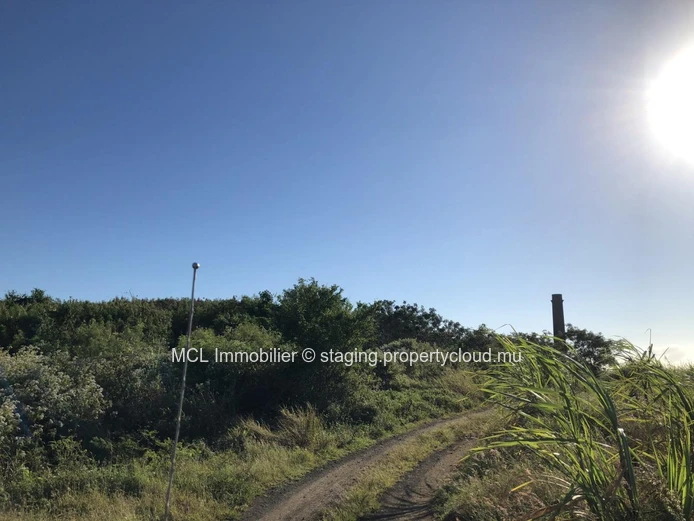 Terrain agricole de 6,262m2 à Anse la Raie