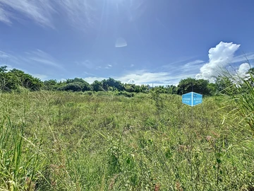 Terrain