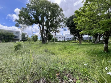 Commercial Land