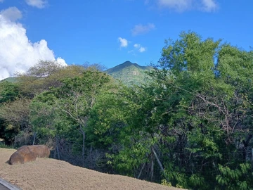 Residential Land